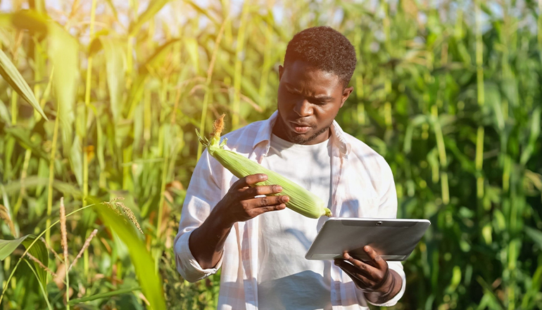 Innovative Agricultural Solutions for Sustainable Growth