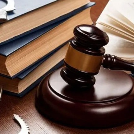 القضايا الجنائية