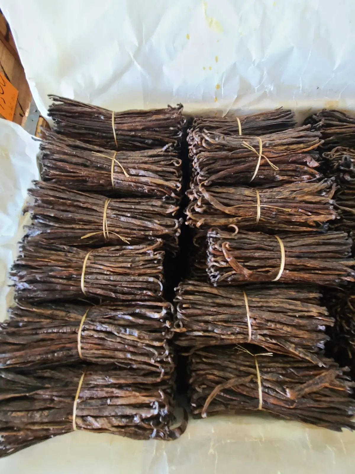 المعرض