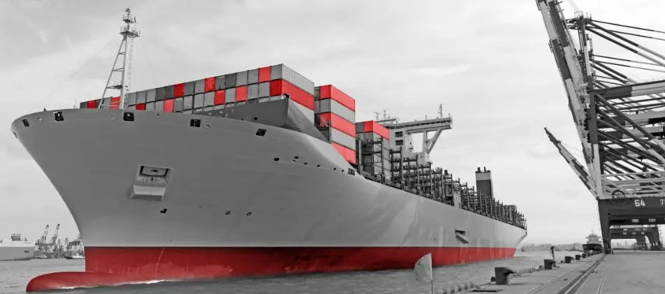 Premium Food Import Services