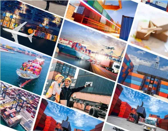 Experience and Expertise in International Trade