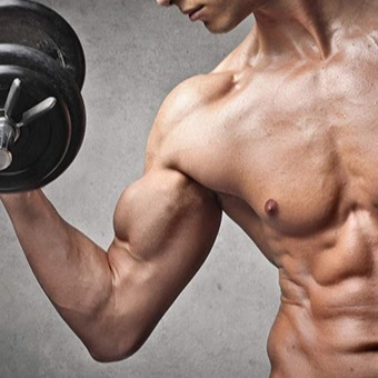 بناء العضلات